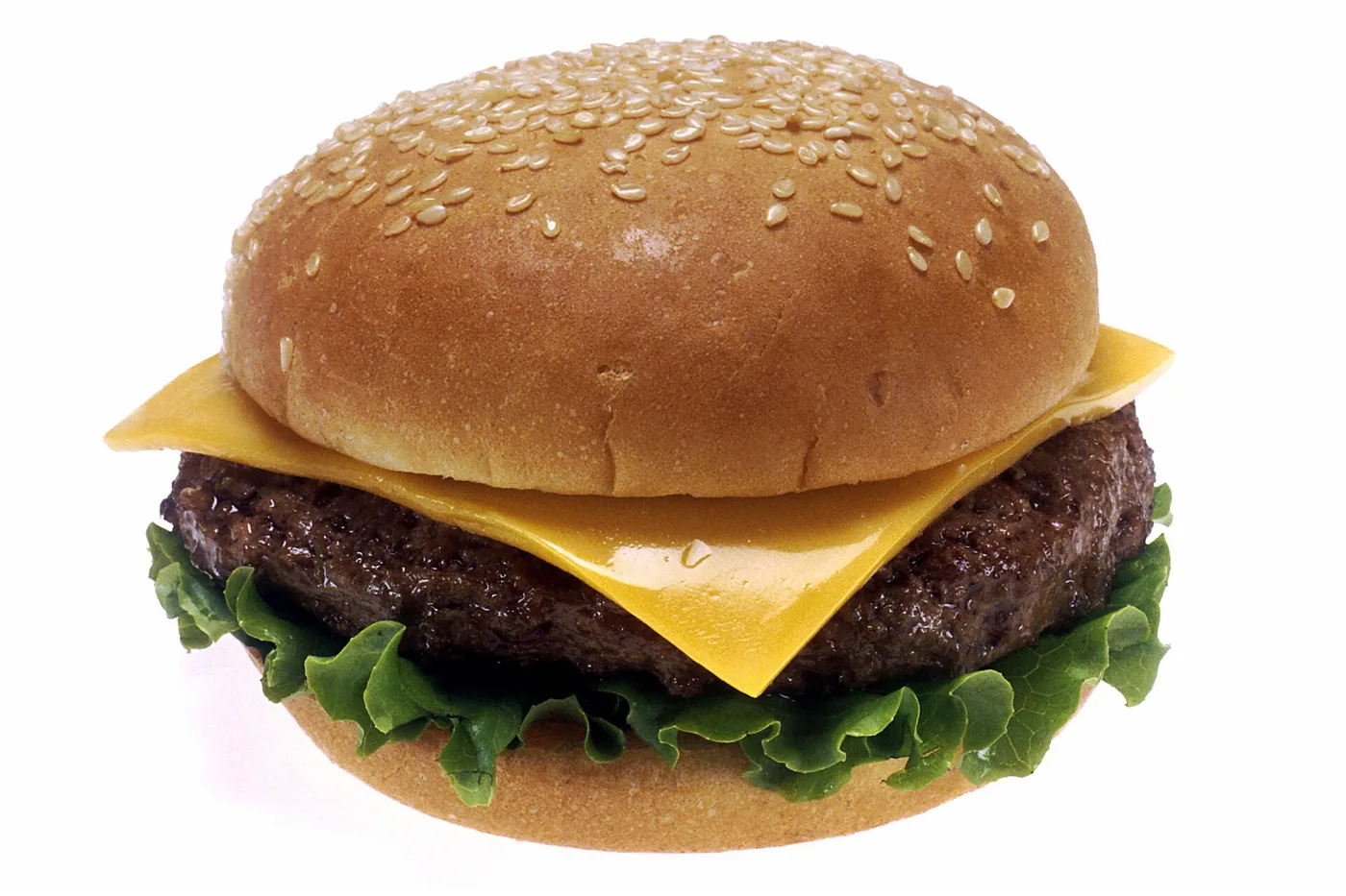 Ikkilamchi burger